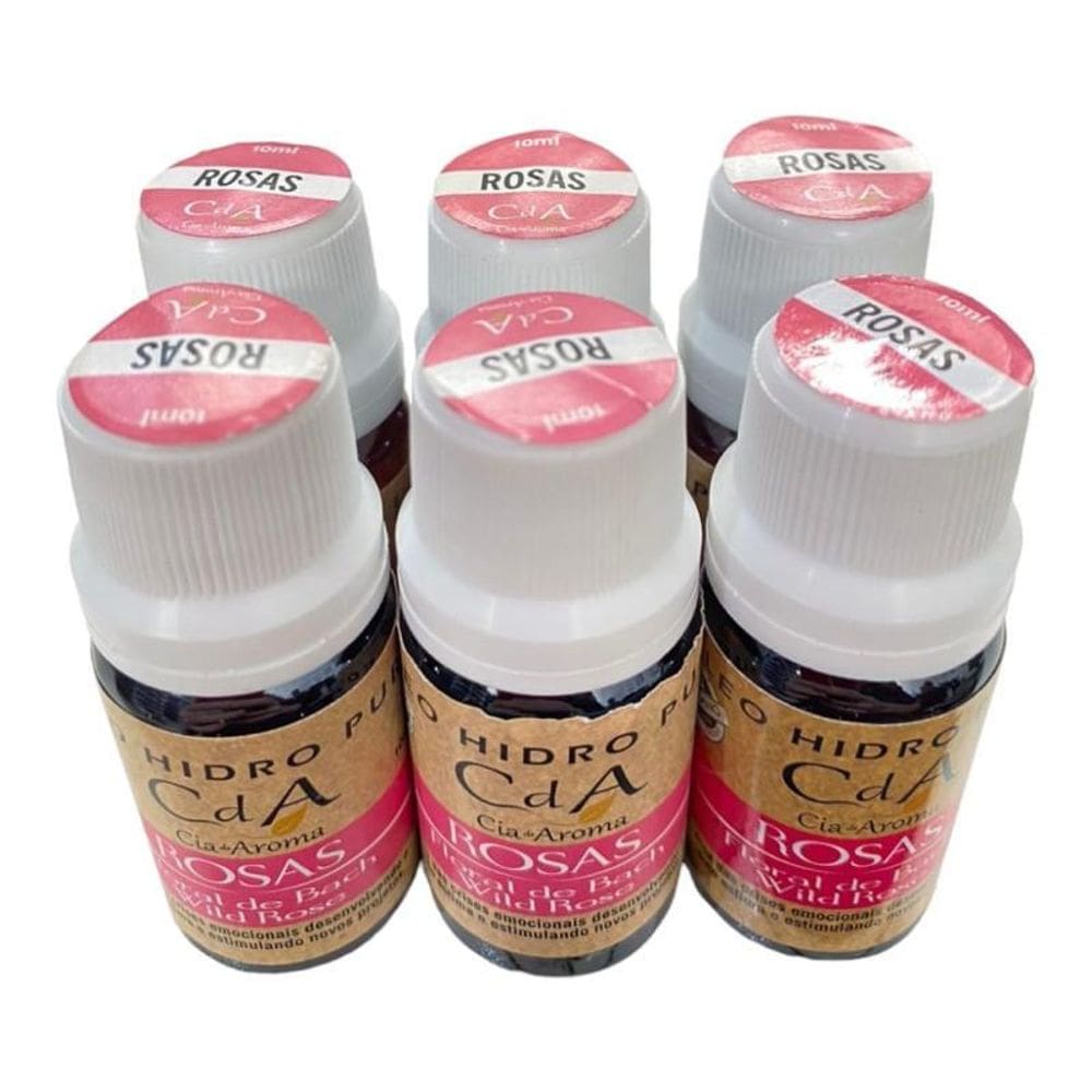 Box Kit 6 Óleos Hidrossolúveis 10Ml-Escolha O Seu Aroma