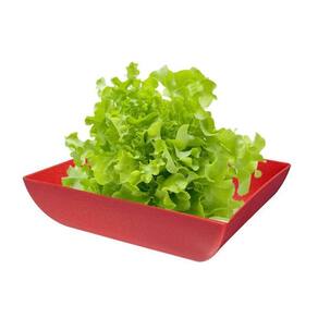 Saladeira Quadrada 2,9 Lt Travessa Petisqueira Vermelha