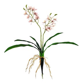 Orquídea Rosa Trichoglottis 45X39Cm Planta Artificial