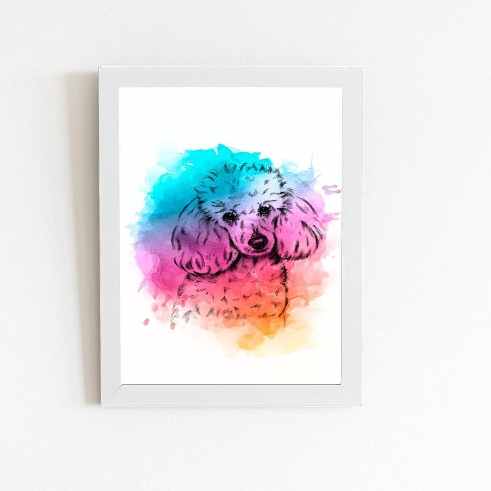 Poodle Cachorro Colorido Quadro Moldura Branca 60X40Cm