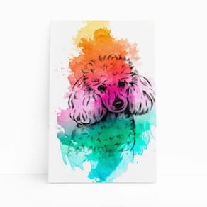 Quadro Canvas Poodle Cachorro Aquarela Laranja 60X40Cm