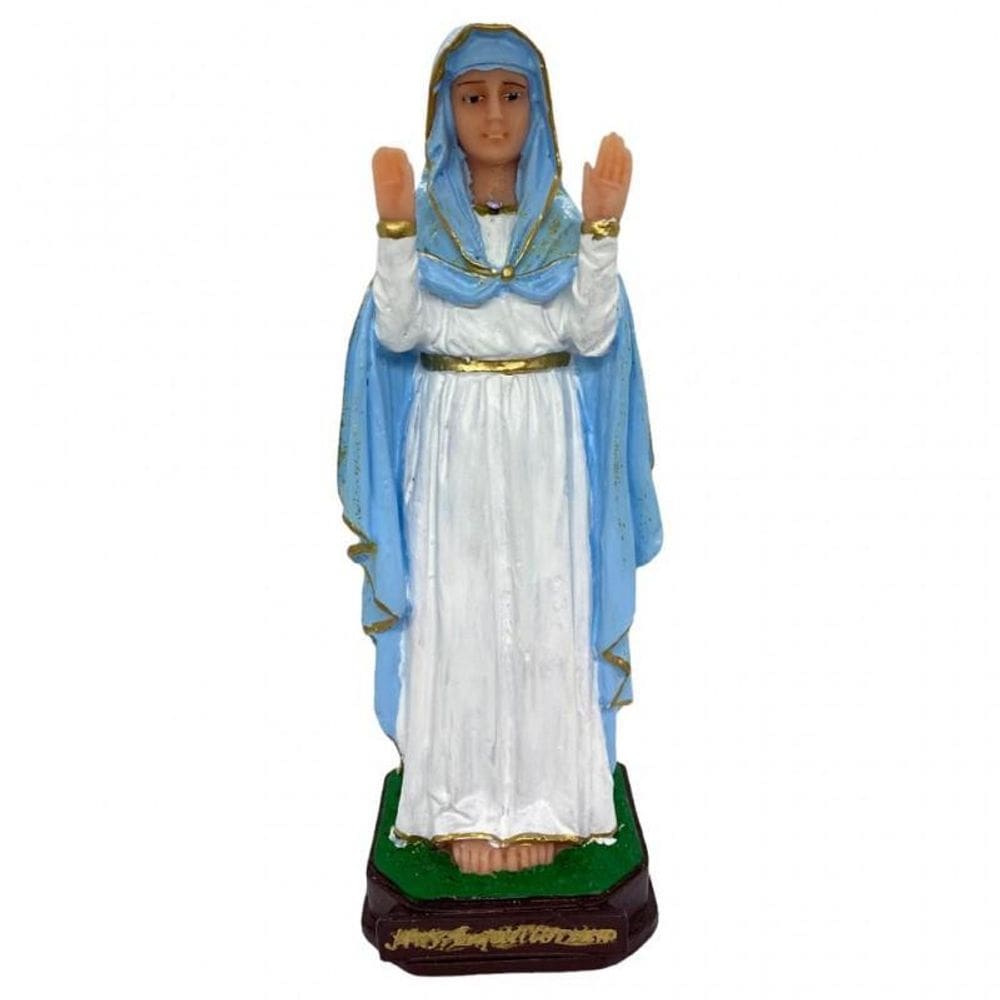 Imagem Santos Católicos Médio Resina - Escolha Cor Protetor