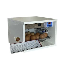 Chocadeira Automática 20 Ovos Digital 220Volts