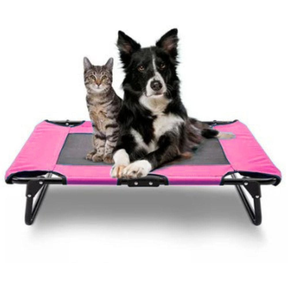 Cama Suspensa Para Pets Média Tamanho M Ergonomica Paws