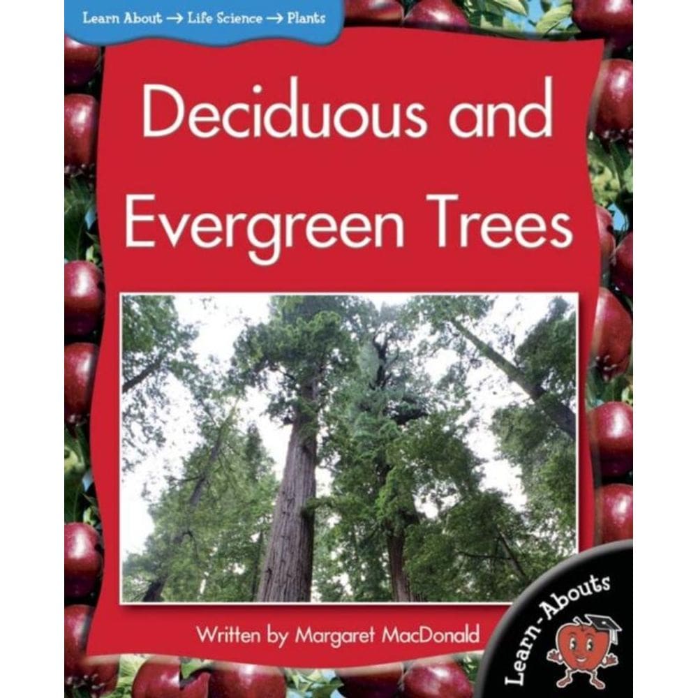 Deciduous And Evergreen Trees