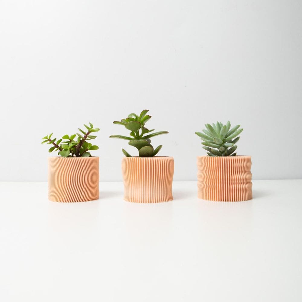 Conjunto 3 Vasos Desert Para Suculentas