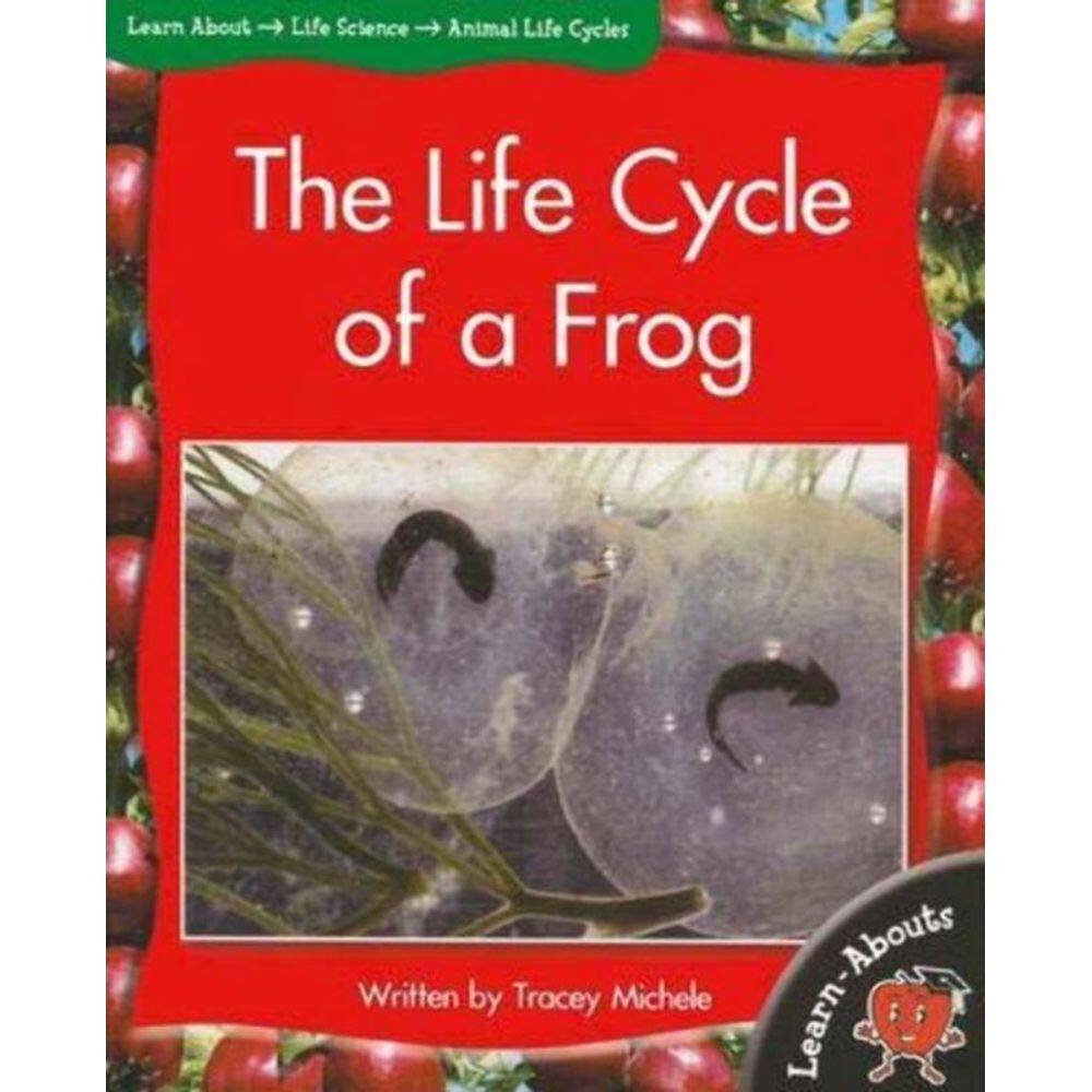 The Life Cycle Of A Frog