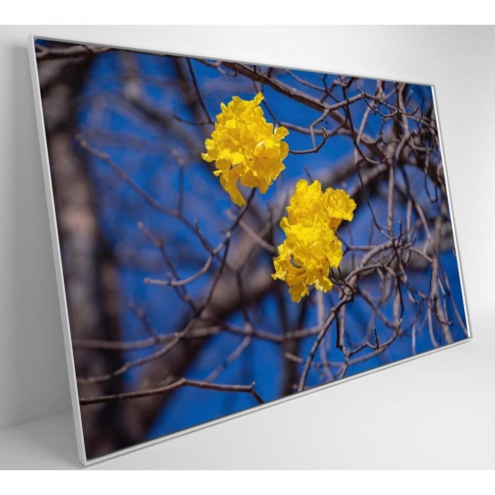Quadro Flores De Ipê Amarelo Em árvore Do Cerrado Medidas 80x120 Cm Tipo De Impressão Tecido Canvas