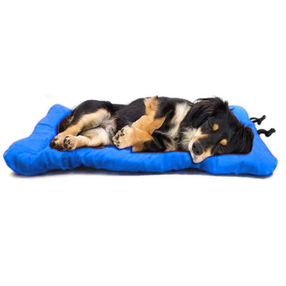 Colchonete para Cachorro Gato Caminha Pet Impermeável 60x90 Azul
