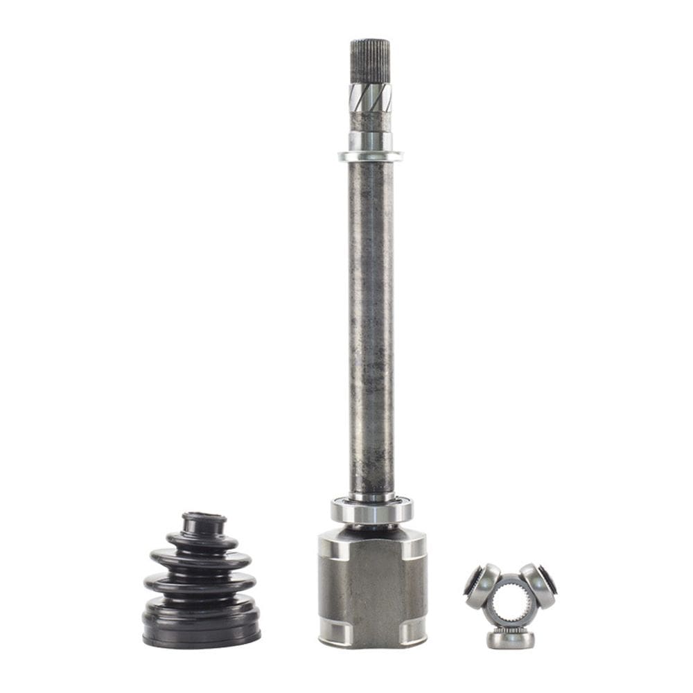 Tulipa Megane  direito