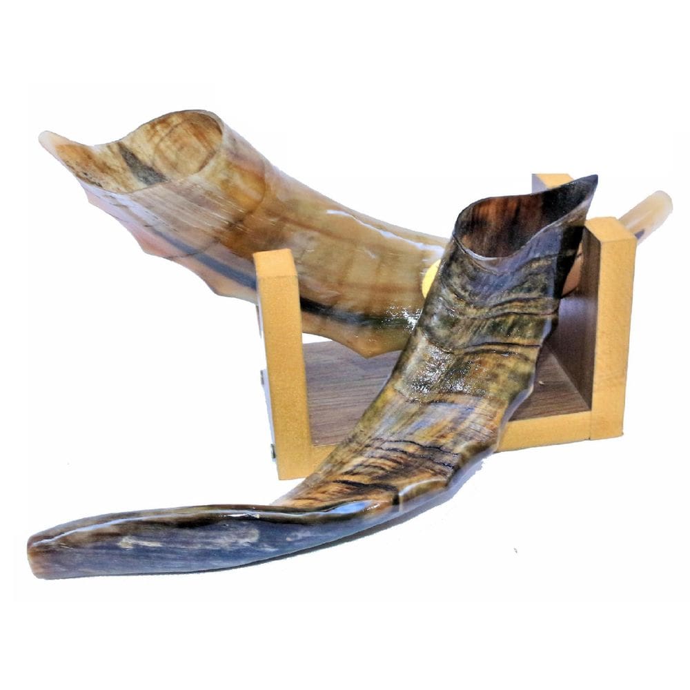 Shofar De Chifre De Cabra Italiana + Suporte