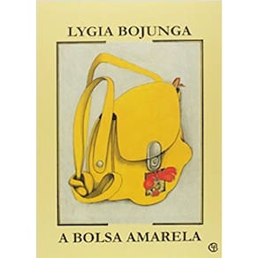Livro A Bolsa Amarela