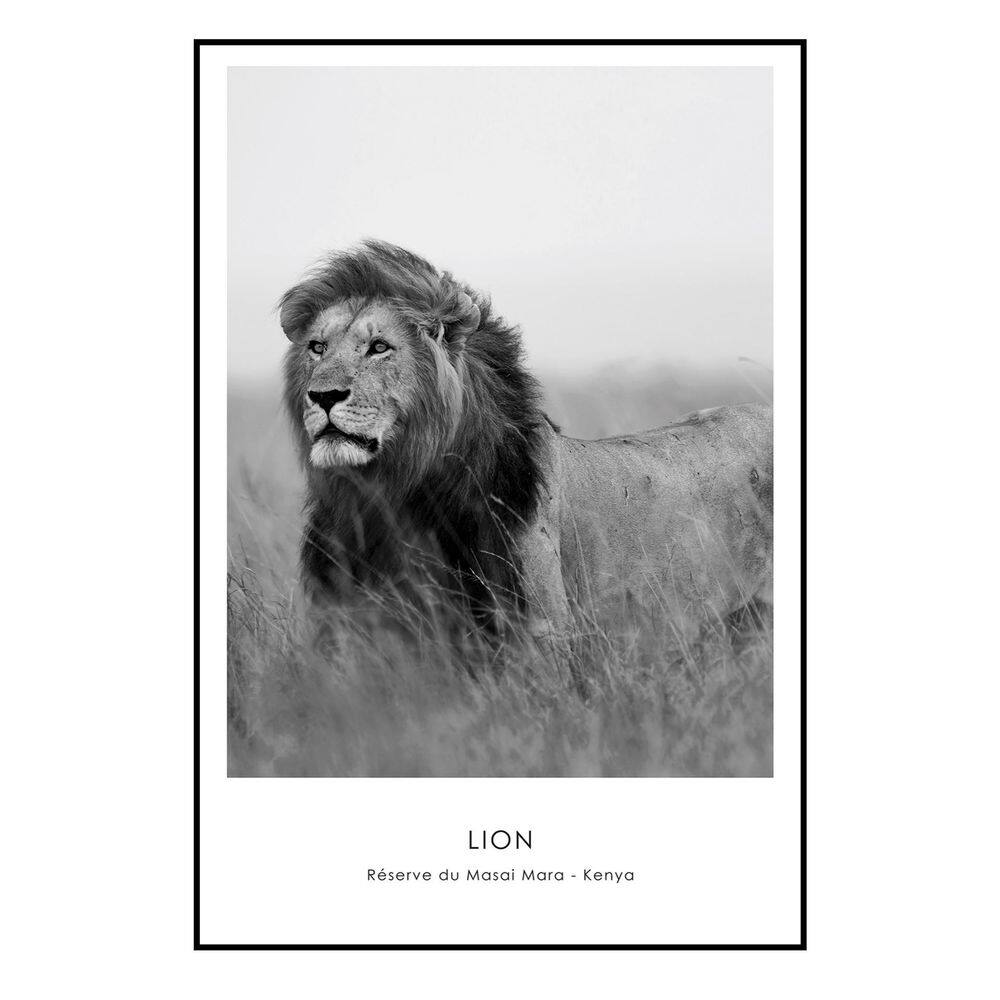 Quadro Decorativo Barcelona Leao Pb 60X90 Cm