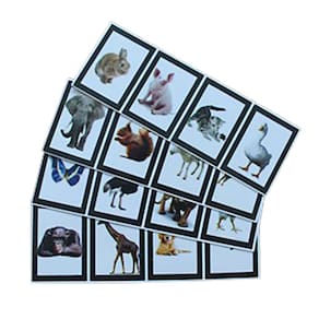 Mágica Animental Magic Up Mágica Com Animais