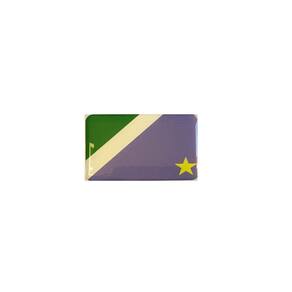 Adesivo Resinado Da Bandeira Do Mato Grosso Do Sul 9X6 Cm