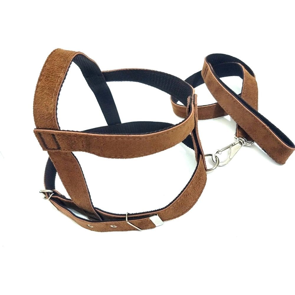 Conjunto Peitoral e Guia de Camurça 25mm Marrom Tamanho 6