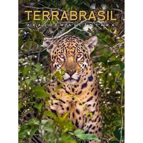 TerraBrasil