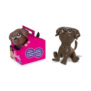 Dj Na Casinha - Mini Pets Da Barbie