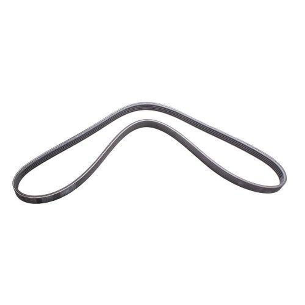 Correia Poly V Renegade 1998/2018 6Pk1450/1453