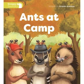 Ants At Camp