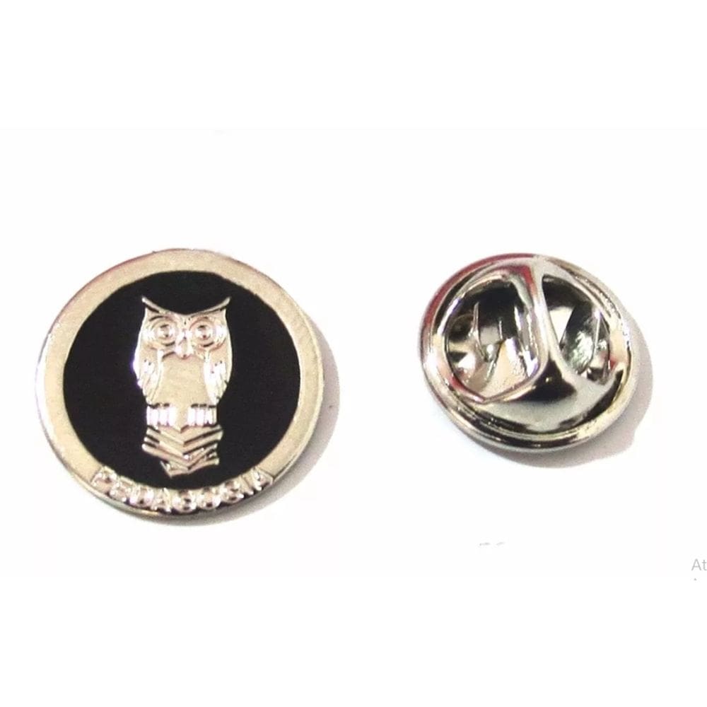 Broche Pedagogia Professora Coruja Folheado Níquel