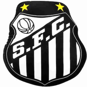 Almofada Em Forma De Brasão Isopor - Santos