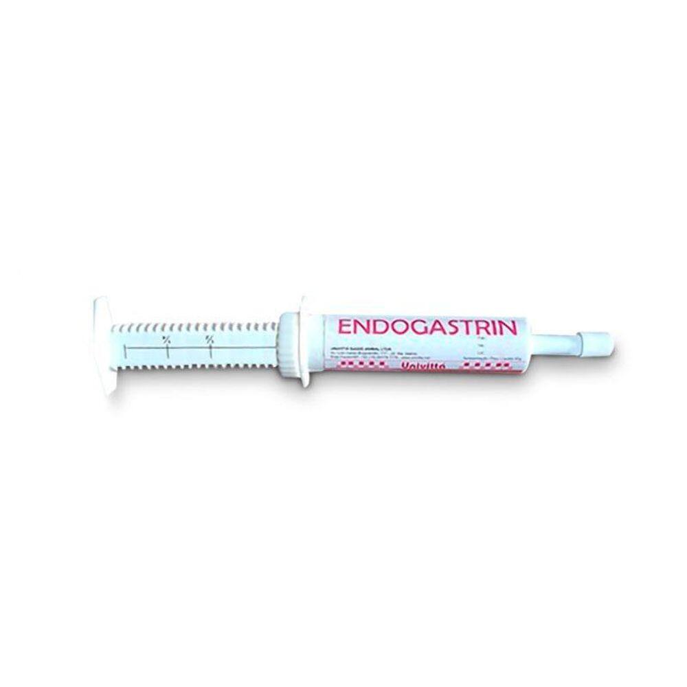 Endogastrin Pasta - 40 Gr