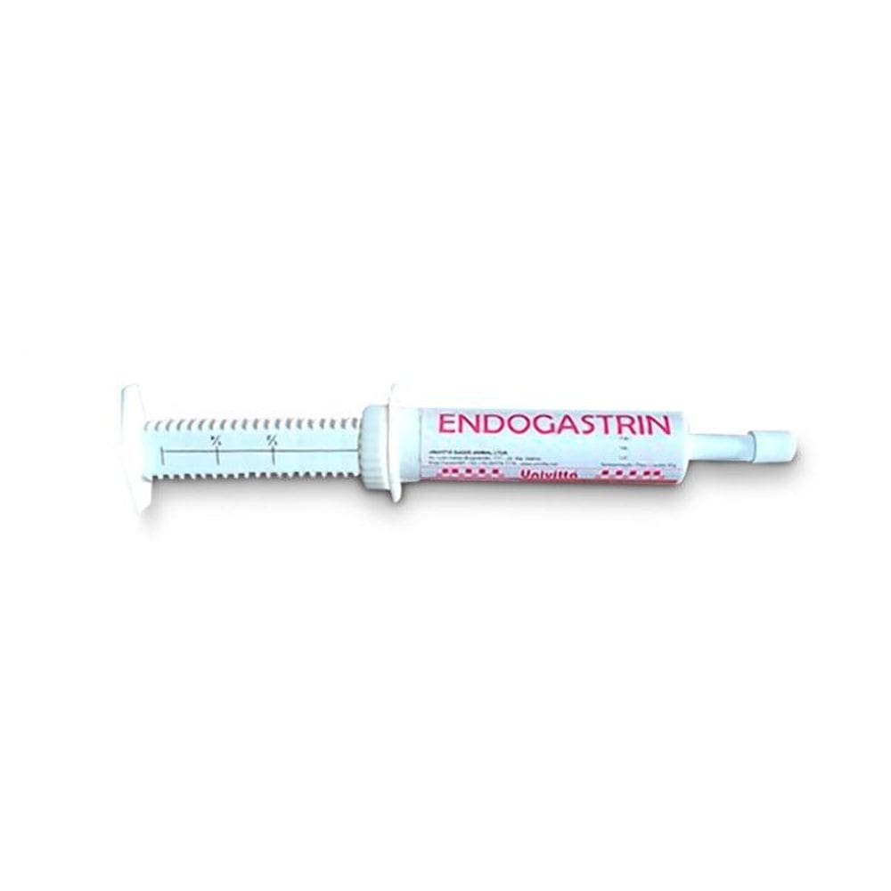 Endogastrin Pasta - 40 Gr