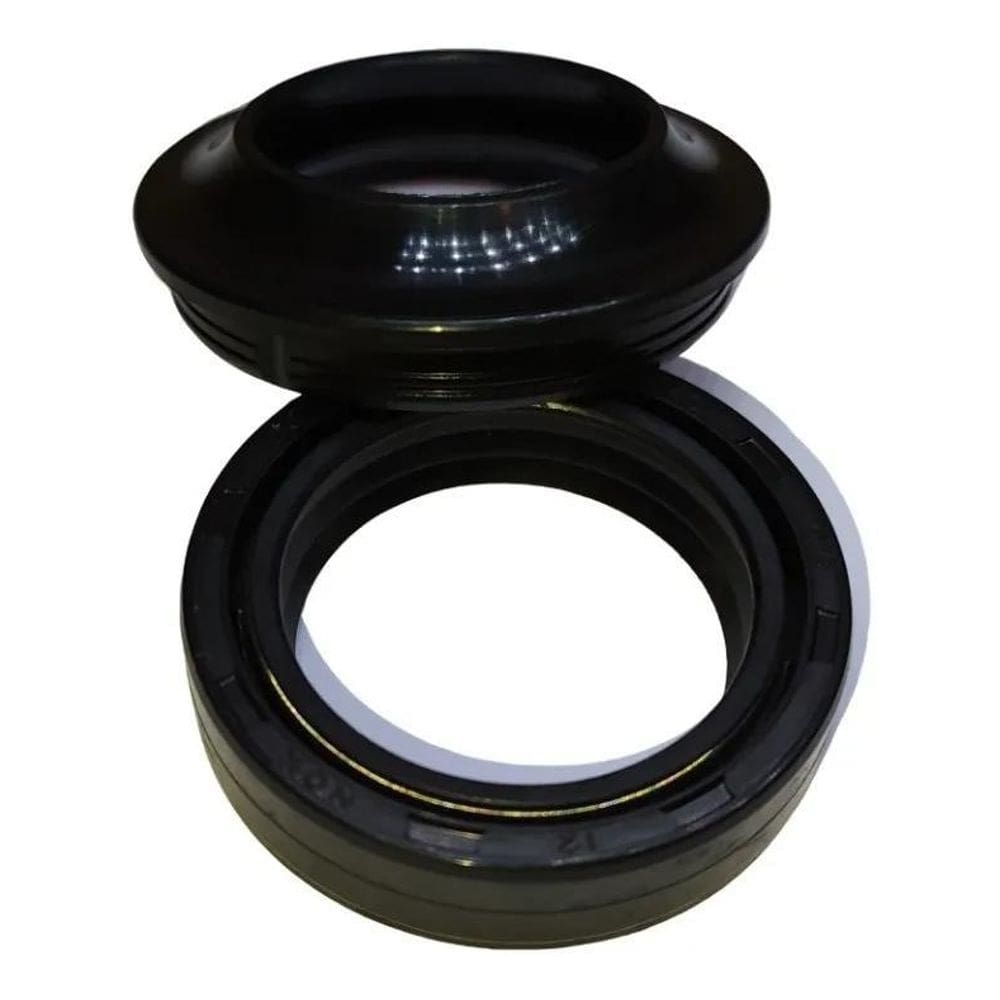 Retentor Suspensão Com Tapa Pó Cg 150/160 Bros 2Un