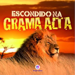 Livro Escondido Na Grama Alta