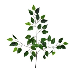 Planta Foleira Folha Ficus Artificial Permanente Verde 62cm