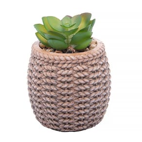 Cachepot de Cerâmica com Suculenta Sisal 7,5x10,5cm 61607 - Wolff