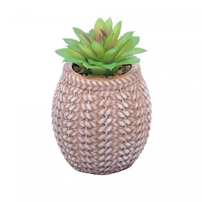 Cachepot de Cerâmica com Suculenta Sisal 9,5x14,5cm 61606 - Wolff