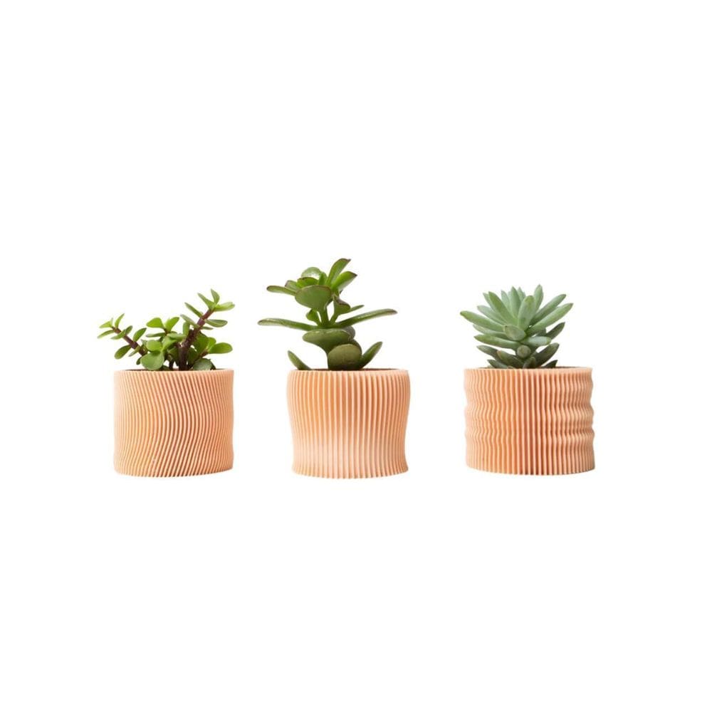 Conjunto 3 Vasos Desert Para Suculentas