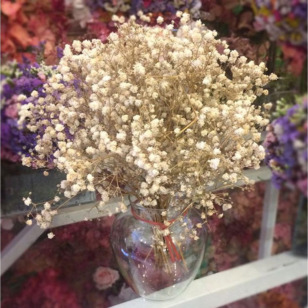 Kit 3 Mini Buquês Gypsophila  mosquitinho