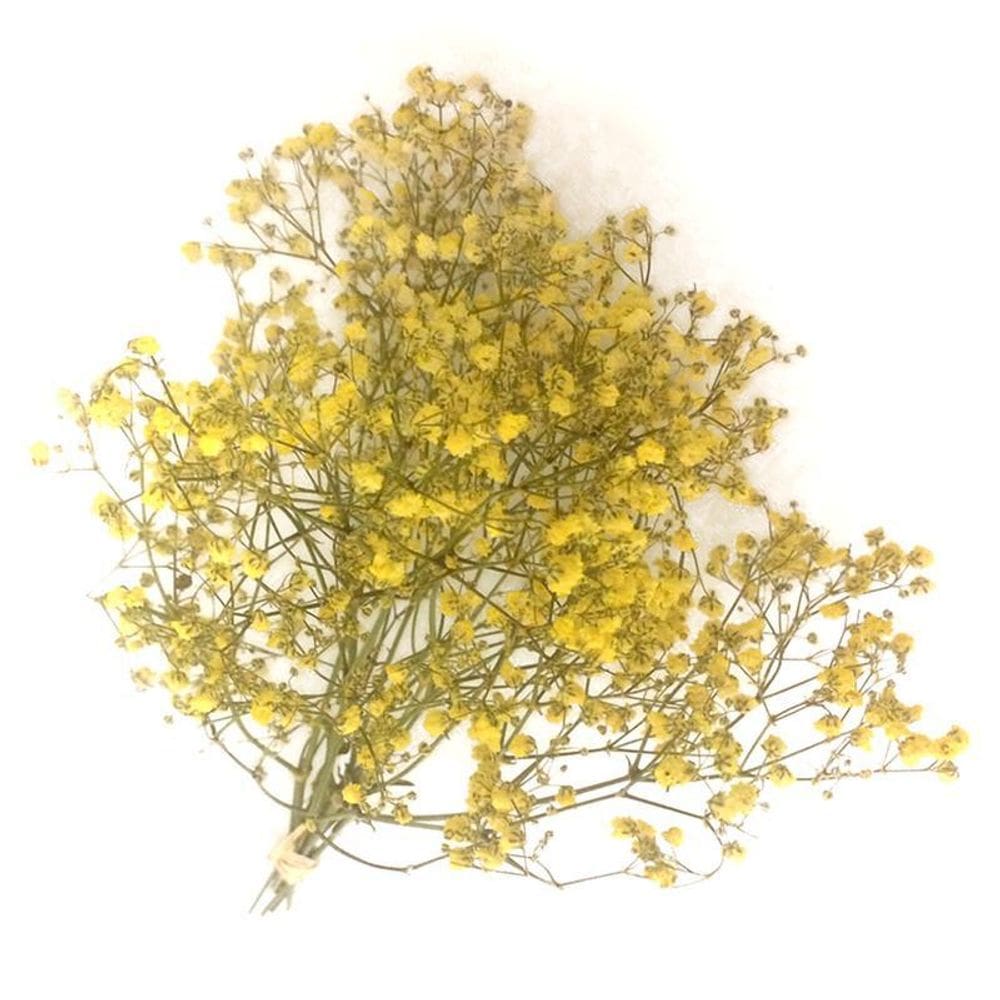 Mini Buquê Gypsophila  Mosquitinho  Amarelo