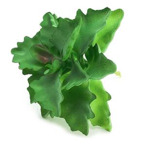 Planta Suculenta Artificial Plástico 10X11Cm Modelo 5