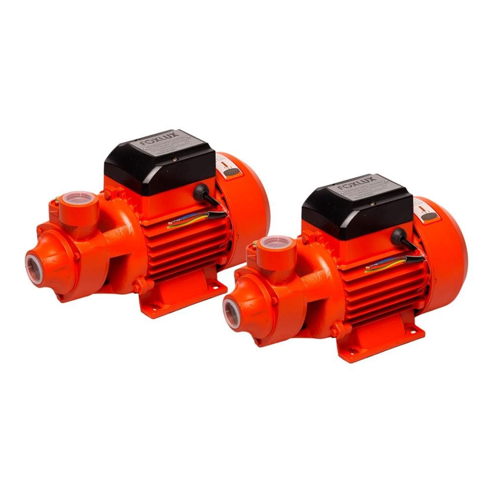 Bomba D`Água Periférica 1 CV Bivolt Foxlux