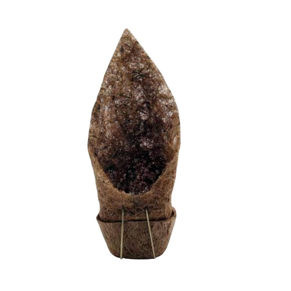 Vaso De Fibra De Coco Com Suporte Em Ferro Para Orquídea