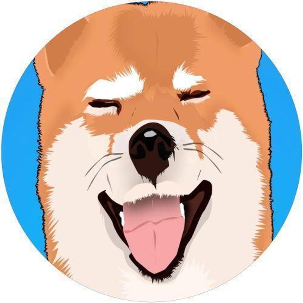 Capa De Estepe Ecosport Aircross Shiba