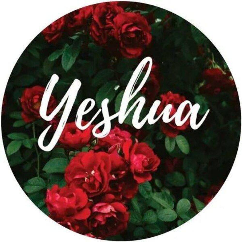 Capa De Estepe Ecosport Aircross Crossfox Yeshua Flor