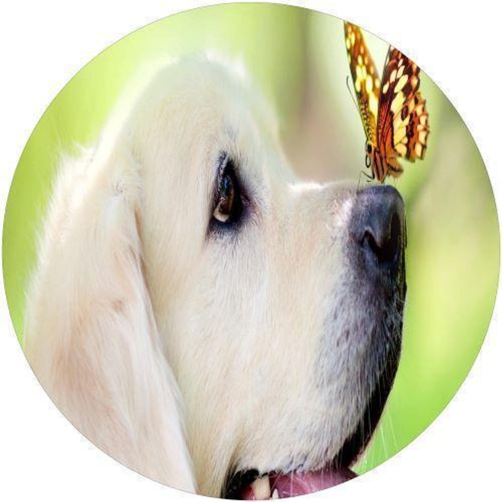 Capa De Estepe Ecosport Aircross Dog E Borboleta