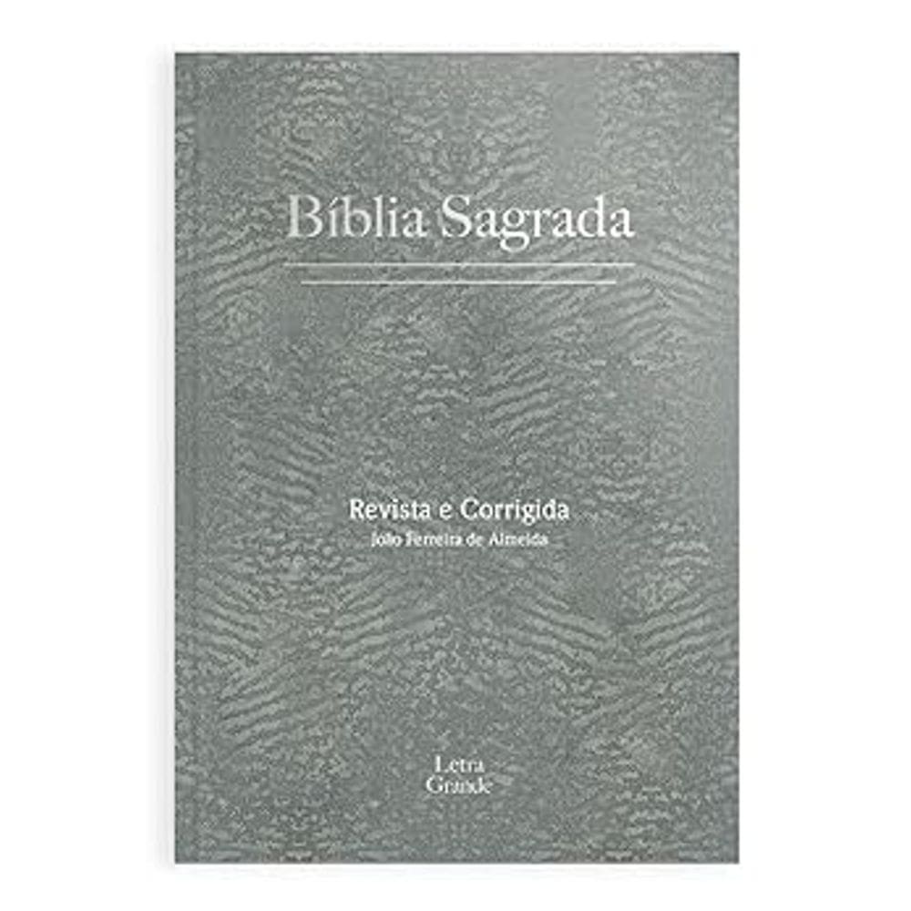263.226 - Biblia Rc Evangelize Letra Grande Capa Dura Cinza