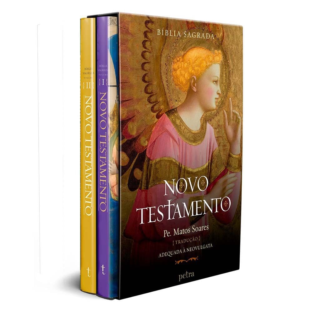 Box - Biblia Sagrada - Novo Testamento