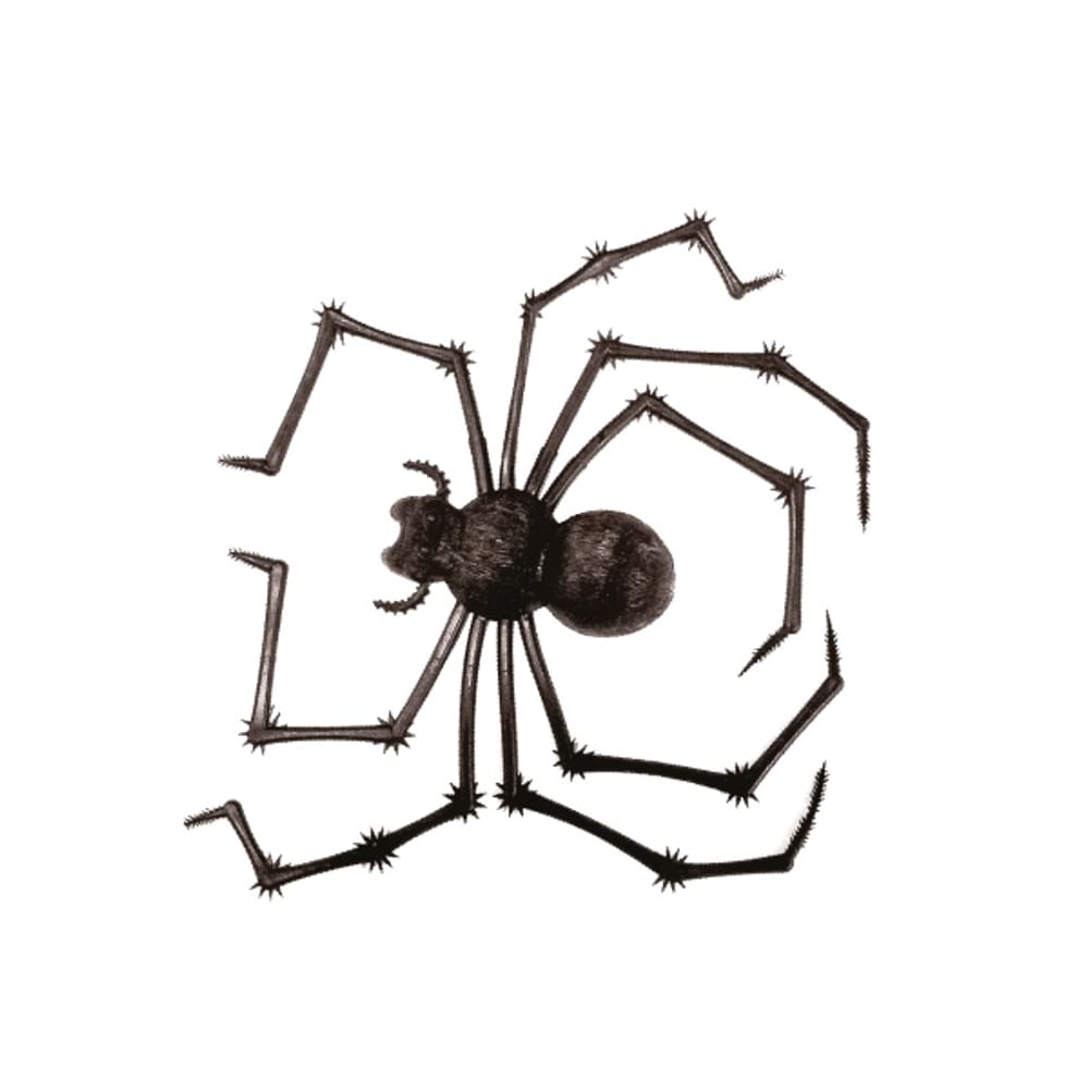 Aranha Viuva Negra Brasilflex