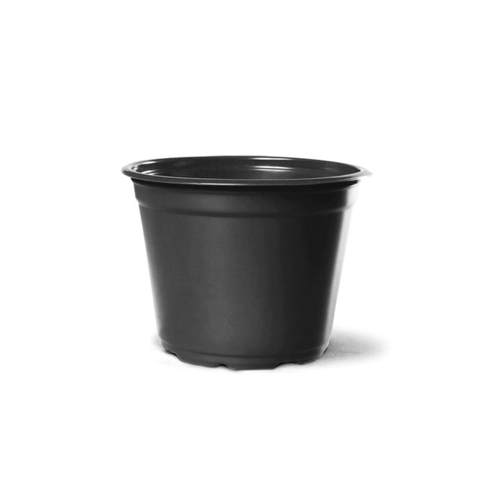 Kit Vaso Plástico Pote 14 Holambra preto 100 uni.