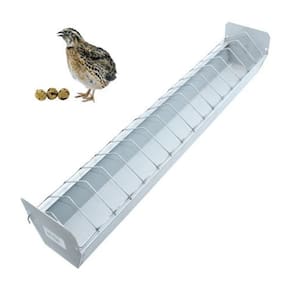 Comedouro Para Codornas Aves Pintinhos 50Cm E Raçao Quirela