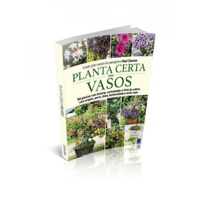 Planta Certa Para Vasos