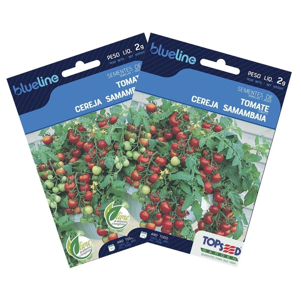 2X Sementes de Tomate Cereja Samambaia Blueline TOPSEED