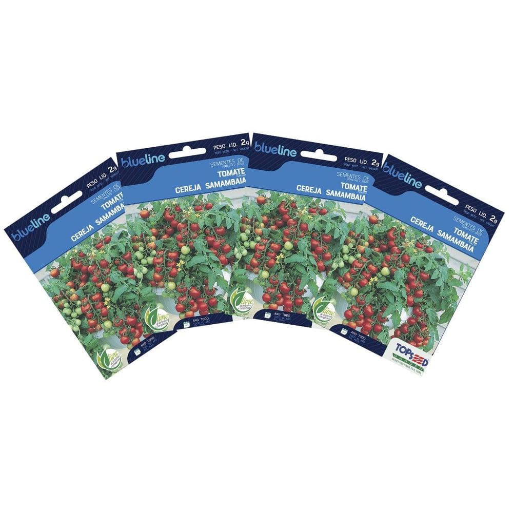 4X Sementes de Tomate Cereja Samambaia Blueline TOPSEED